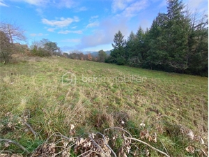 terrain à la vente -   07200  MERCUER, surface 2536 m2 vente terrain - UBI480457889